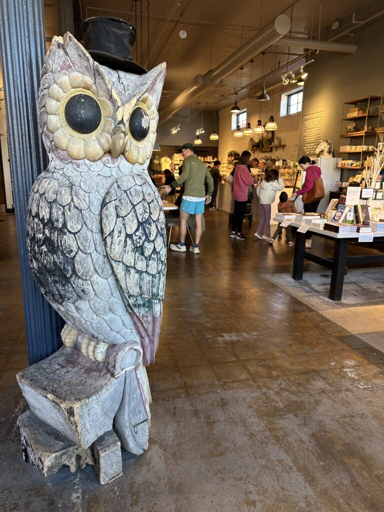 Aesop, the Fabled Bookshop owl, Waco, TX